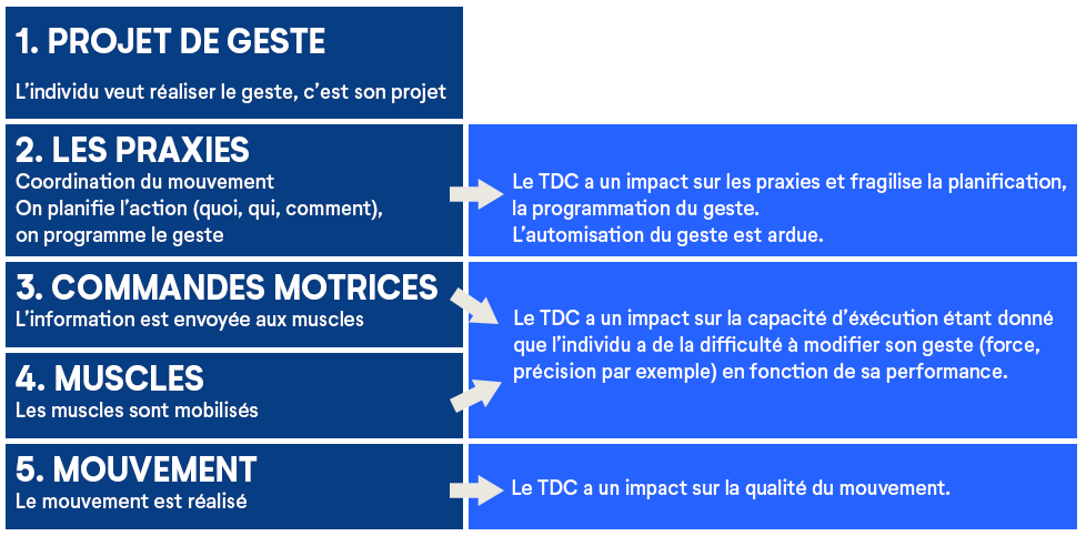 Impact du TDC sur le mouvement