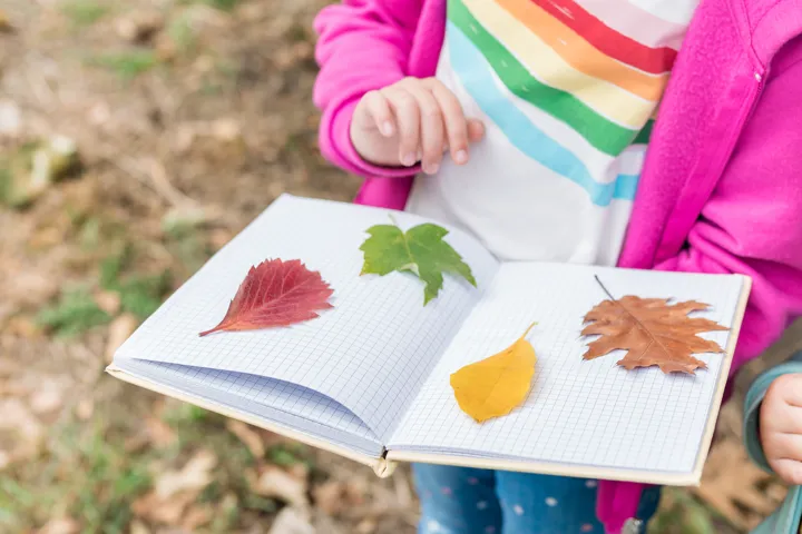 Qu’est-ce que l’éducation relative à l’environnement ? 