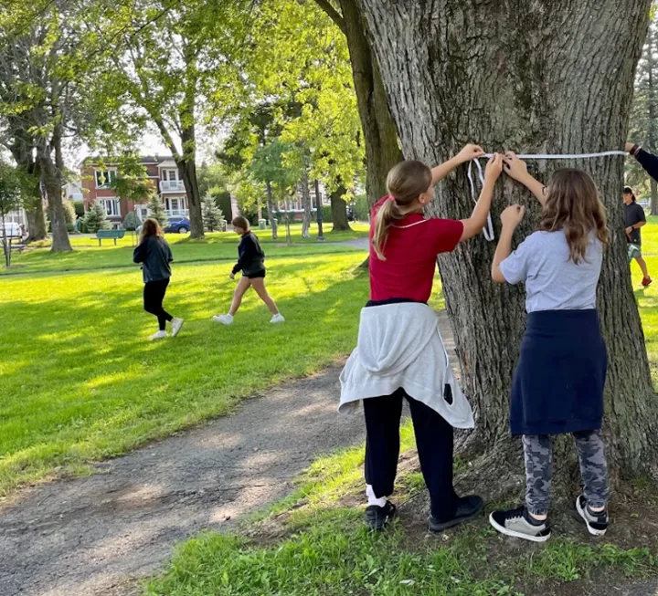 élèves mesurant la circonférence d'un arbre 