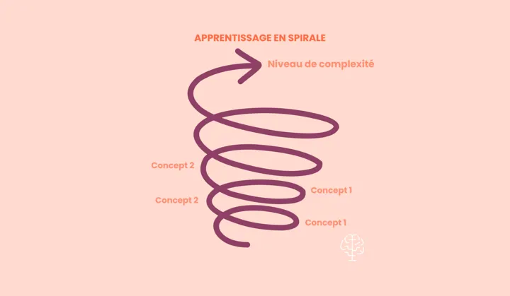 Apprentissage en spirale 