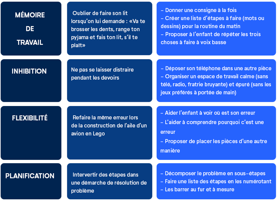 Exemples activites fonctions executives