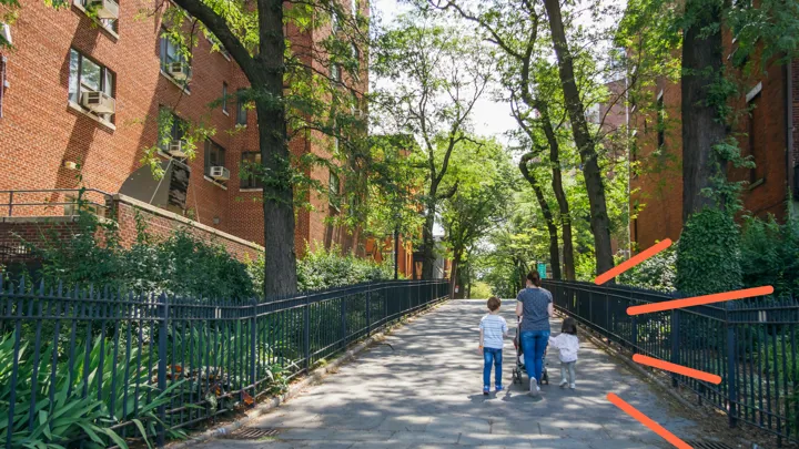 Tirer profit de vos marches en famille en suscitant des apprentissages