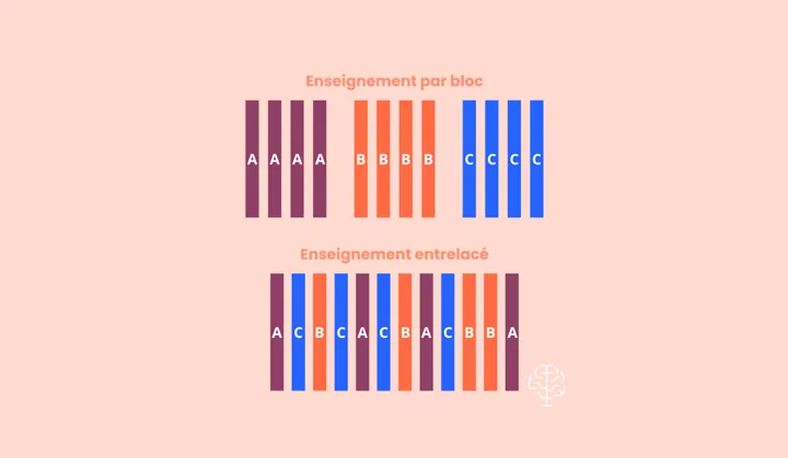 L’enseignement entrelacé