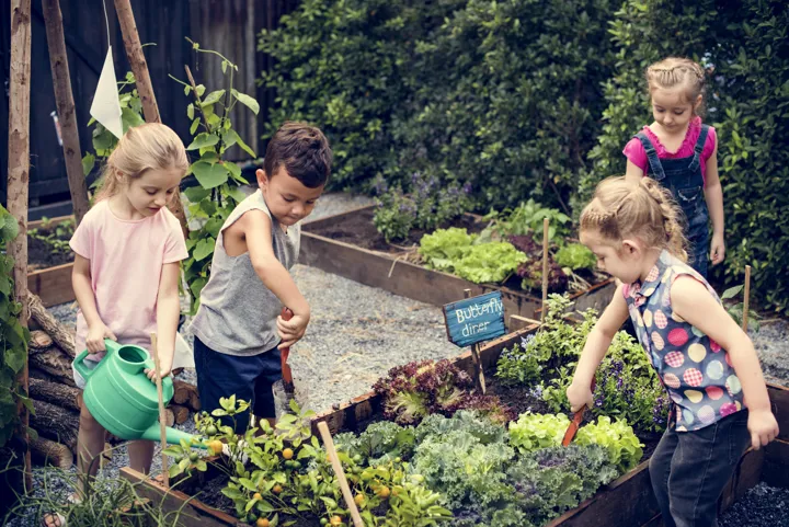 Les bienfaits de l'éducation en plein air 